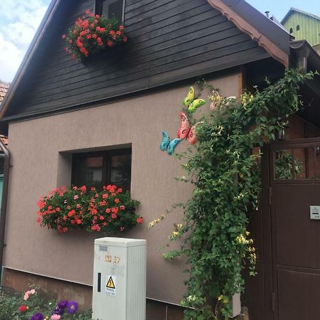 Maison Rosmina Brașov Exterior foto